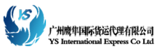 YS-I 广州鹰隼国际货运